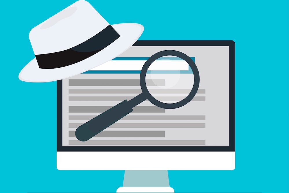white hat niche edits