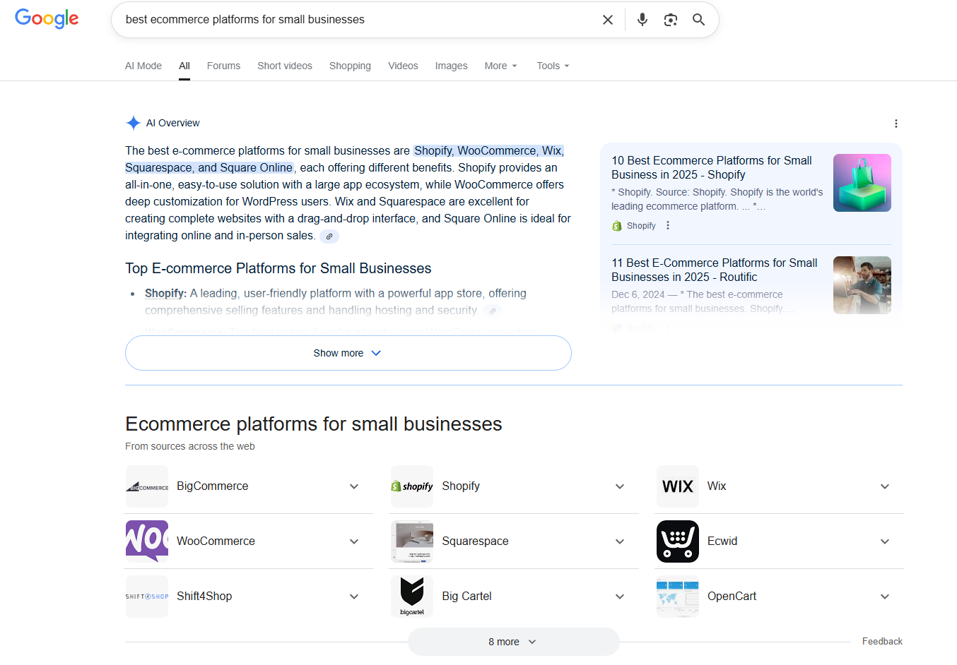 Screenshot of AI Overview